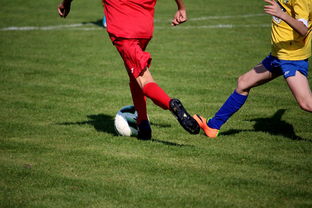 米兰体育入口-中国田径队在世界舞台上表现优异，奖牌不断，中国田径队排名